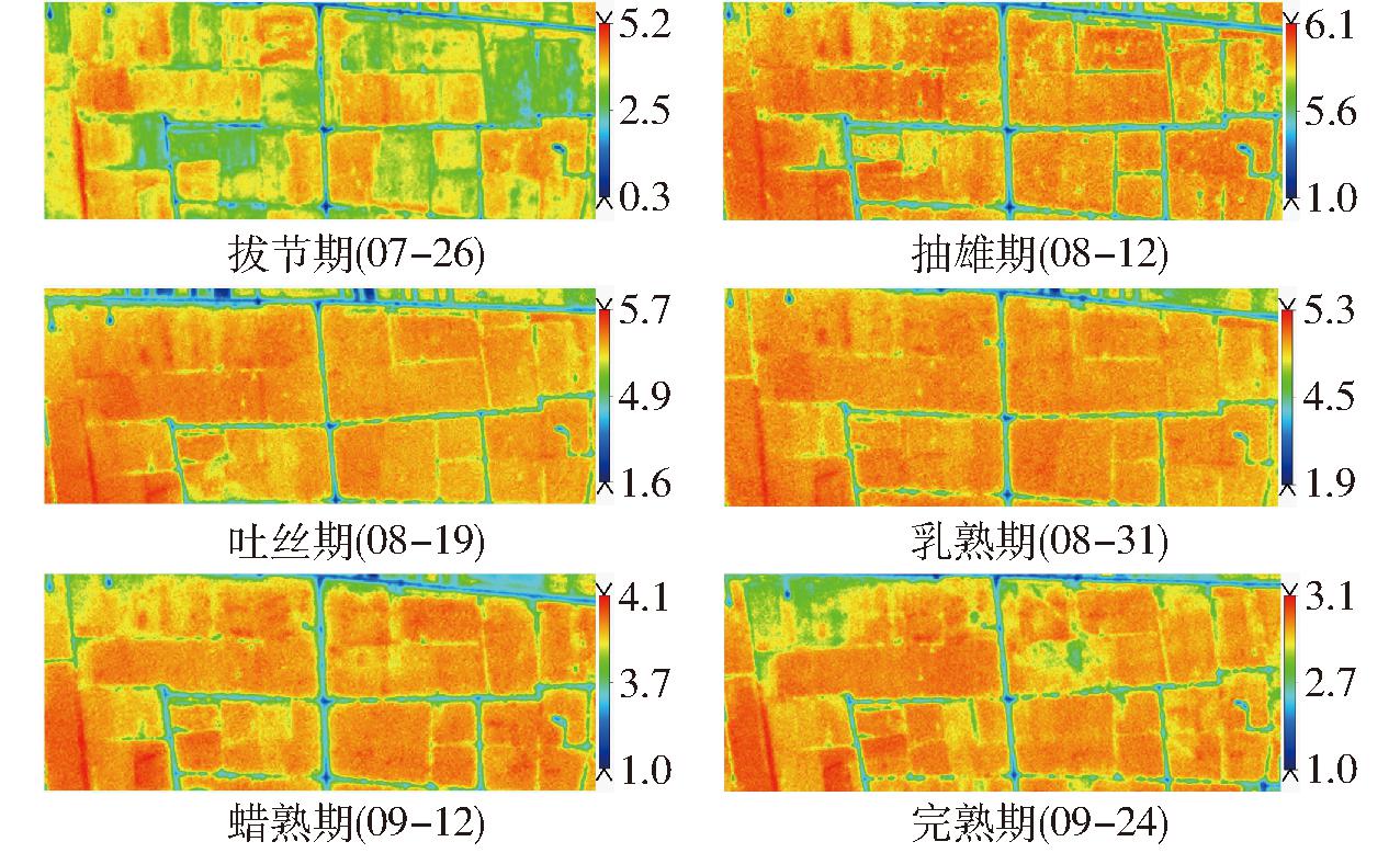 多源遥感数据尺度转换的夏玉米蒸散发融合模型研究